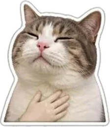 A cat with its eyes closed and a paw on its chest, looking content.